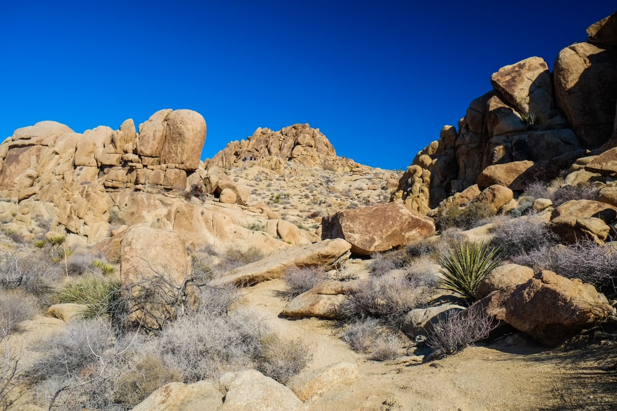 Photo of Mastodon Peak