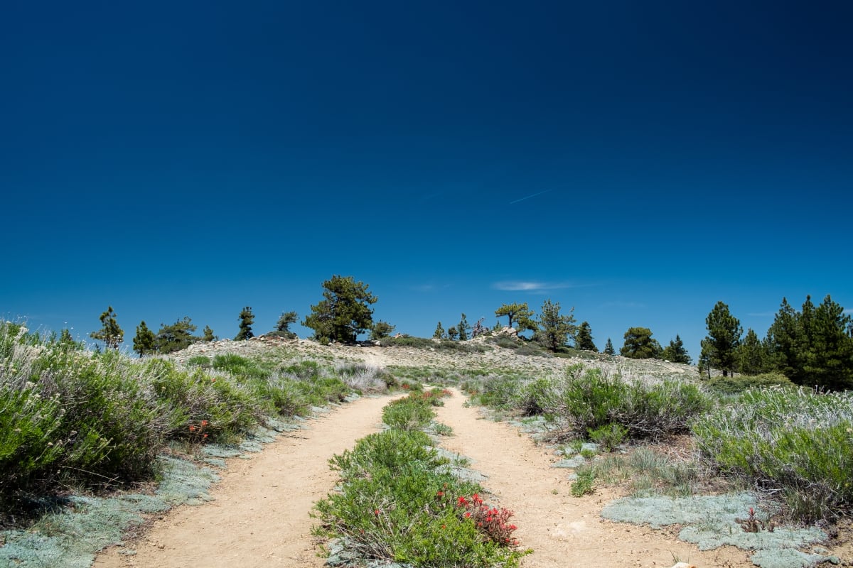 The path that leads to the overlook of Pine Mountain Club