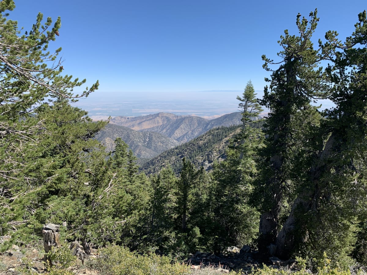 Photo of Mount Pinos