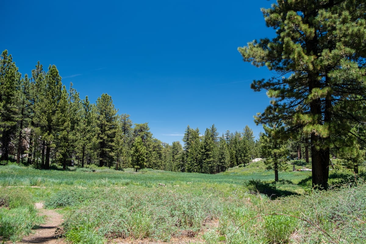 The meadow near the Nordic Base at the trailhead