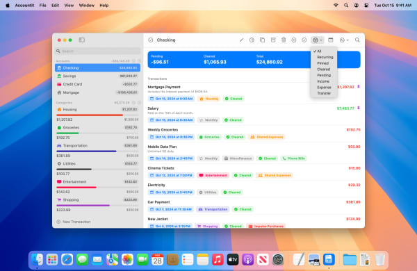 Accountit Screenshot 9