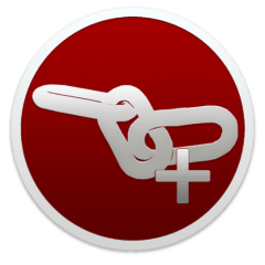 Integrity Plus Icon