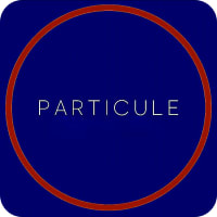 Particule SRL 