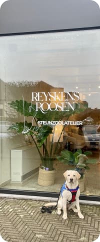 Steunzoolatelier Reyskens & Roosen