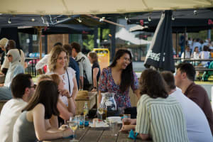 Werken als young professional bij Junto