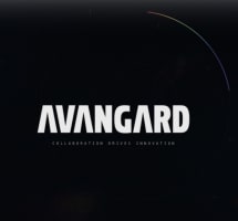 Working as an intern at Avangard