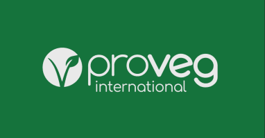 Werken als stagiair bij ProVeg vzw
