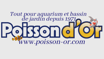 Werken als stagiair bij Au Poisson d'or
