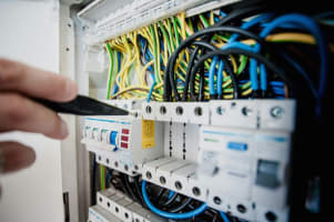 Working as a young graduate at Cebeo