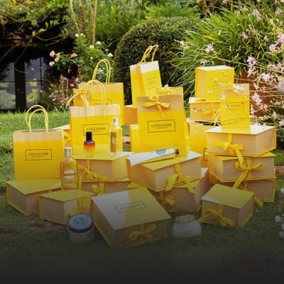 Working as an intern at LOCCITANE BELGIUM