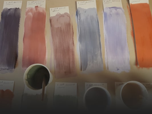 Working as a student at Actina srl