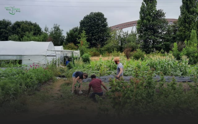 Working as an intern at Fondation Terre de Vie