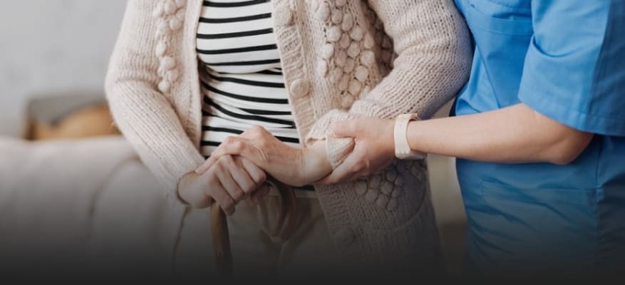 Travailler en tant que jeune diplômé chez Vivalia