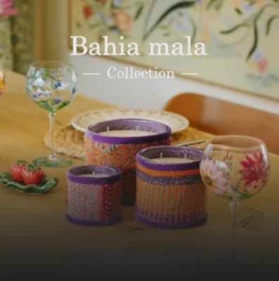 Working as an intern at Bahia mala SRL