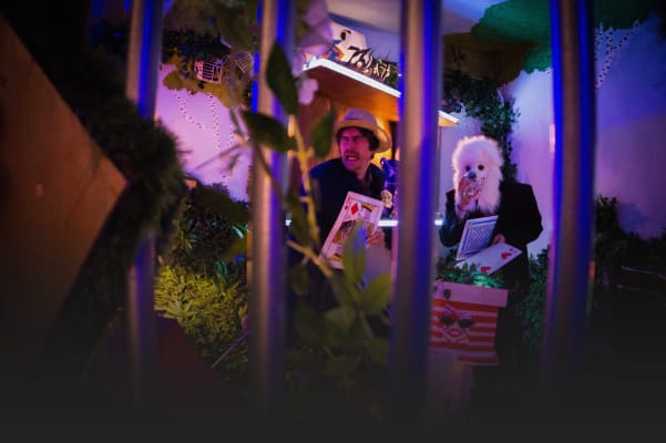 Werken als student bij Let Me Out 
