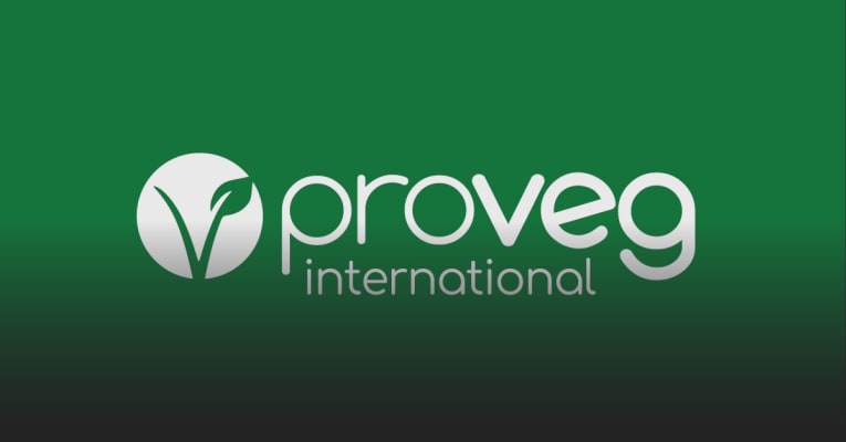 Werken als stagiair bij ProVeg vzw
