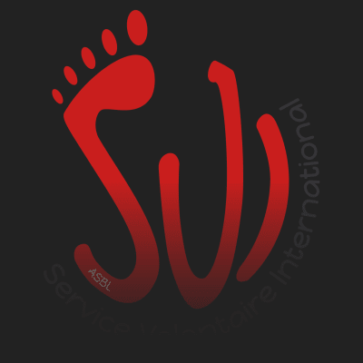 Working as an intern at Service Volontaire International