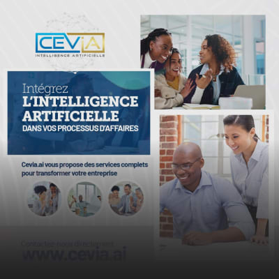 Working as an intern at CEVIA