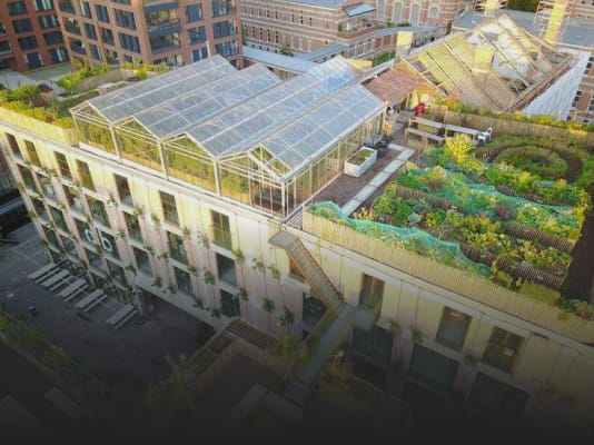 Working as a student at BEEGO