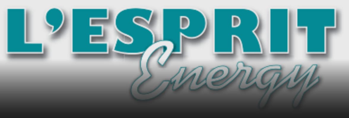 Werken als student bij L'Esprit Energy
