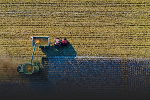 Travailler en tant que étudiant chez Triangle Solutions Rh