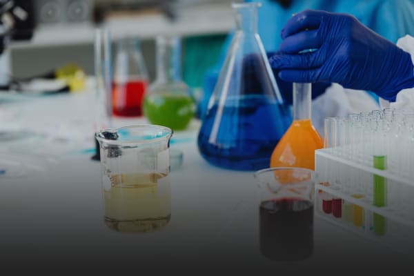 Working as a student at Sa Phargest