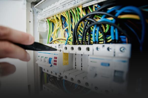 Travailler en tant que jeune diplômé chez Cebeo