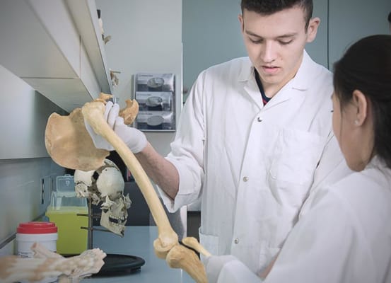 Faculté de médecine banner