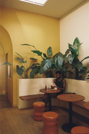 Job opportunities at BOUCHE COFFEE 