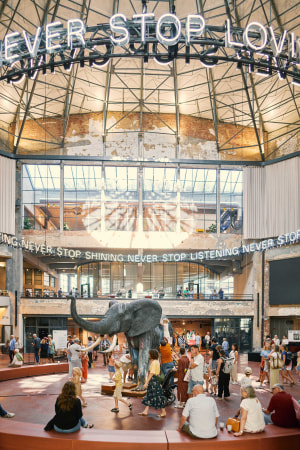 Opportunités chez Maeve