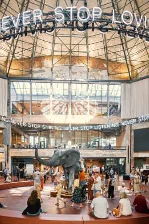 Job opportunities at NextSDS 