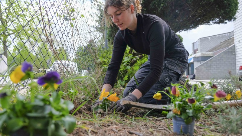 company image undefined 4