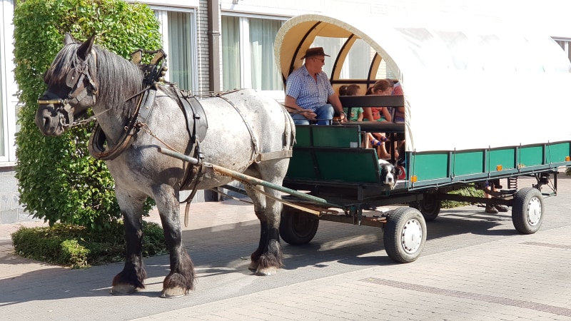Working at BKO 't Ankertje Diepenbeek - HR picture 