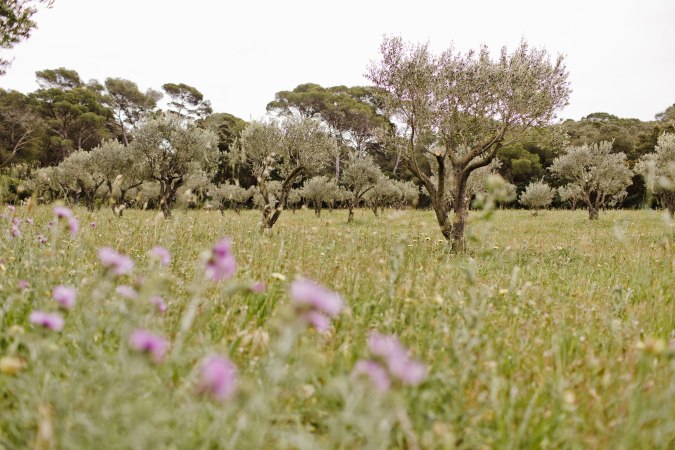 Work with us at LOCCITANE BELGIUM - Career image 