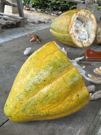 company image The Belgian Chocolate Makers 14