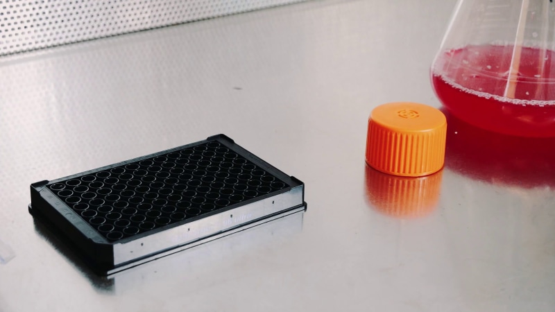 Explore jobs at Ipratech - team picture