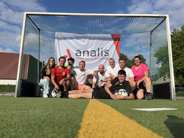 company image Analis 16