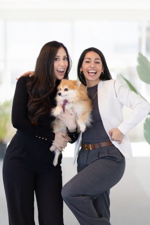 Arbalett - HR picture 