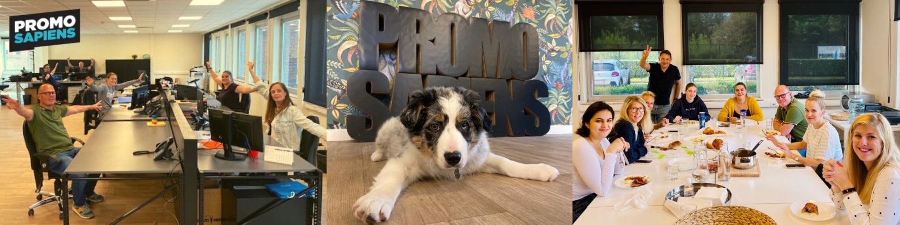 Travaillez avec nous chez Promo Sapiens - Image de carrière