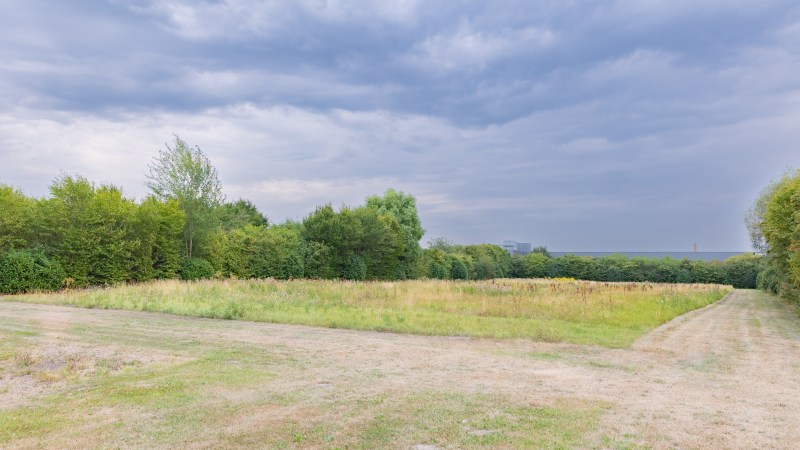 Vacatures bij BelOrta