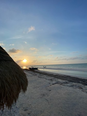 company image MdF Mobility C. A.  13