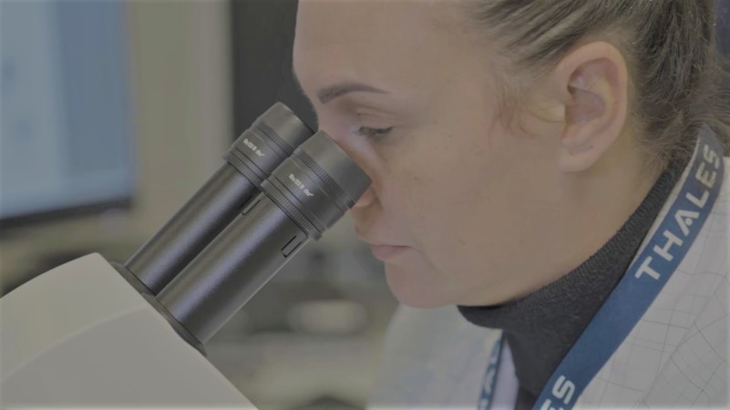 Opportunités chez Thales Belgium SA