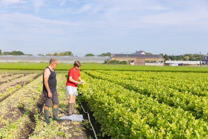Werken bij BelOrta - HR foto 