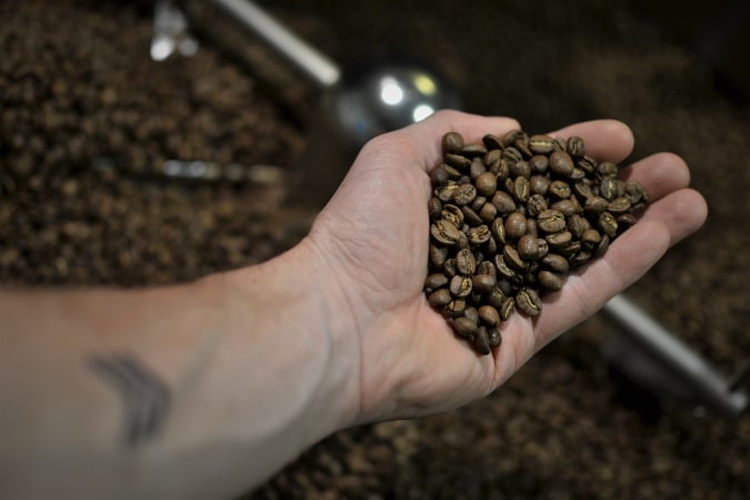 Work with us at Gust Coffee Roasters - Career image 