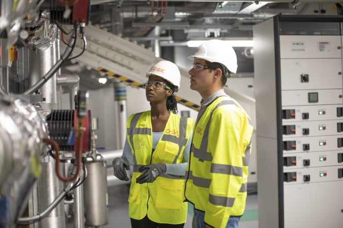 company image GSK 11