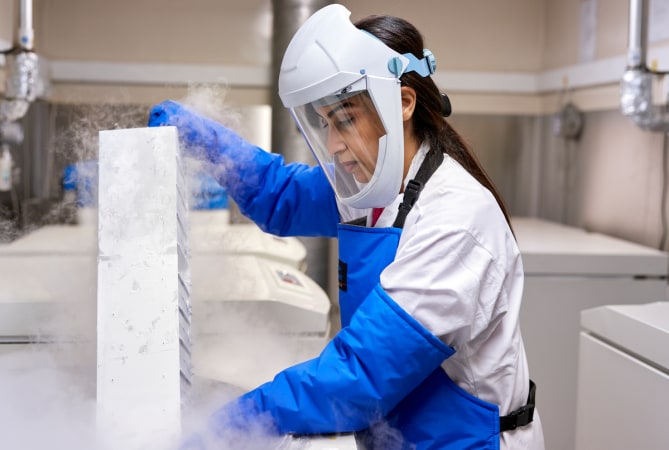 company image GSK 13