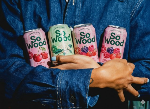 Offres d'emploi chez So Wood (Living Forest)
