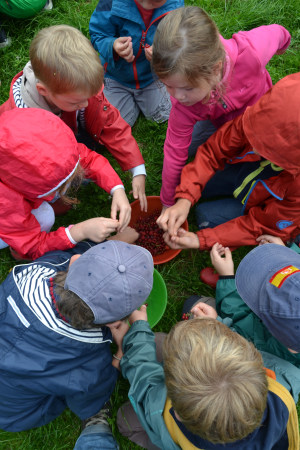 LA FERME DE LA HULOTTE asbl - HR picture 