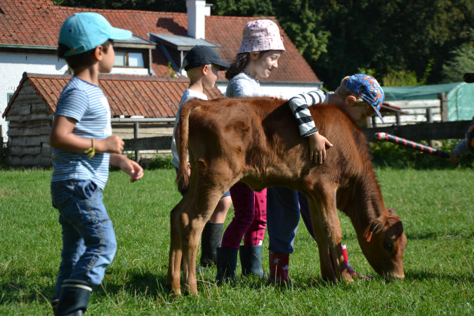 Job opportunities at LA FERME DE LA HULOTTE asbl 