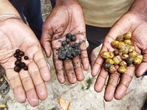 company image Zenko Superfoods BE 10